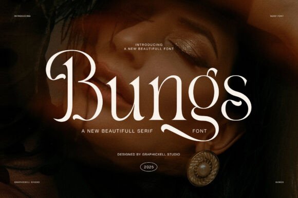 Bungs: The Elegant Serif Font for Premium Web Design