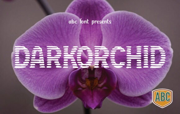 Darkorchid: A Luxurious Serif Typeface for Modern Web Design