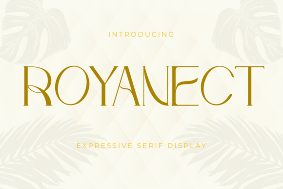 Royanect: The Premium Serif Font for Scroll-Stopping Campaigns