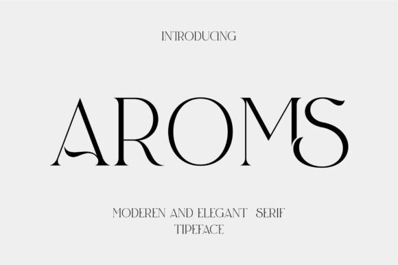 Why Aroms Became My Go-To Serif for Modern Web Projects